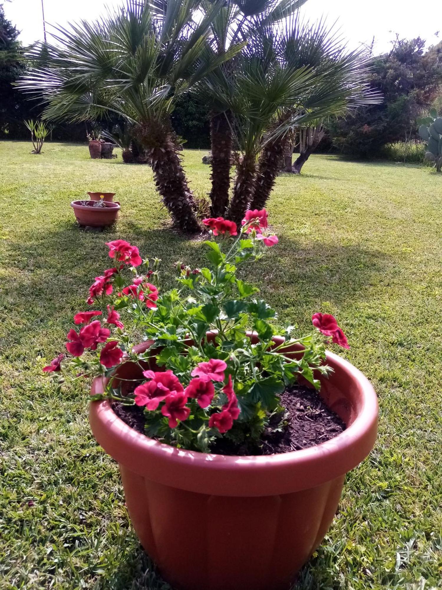 Bed and Breakfast Mamena Paestum Exterior foto